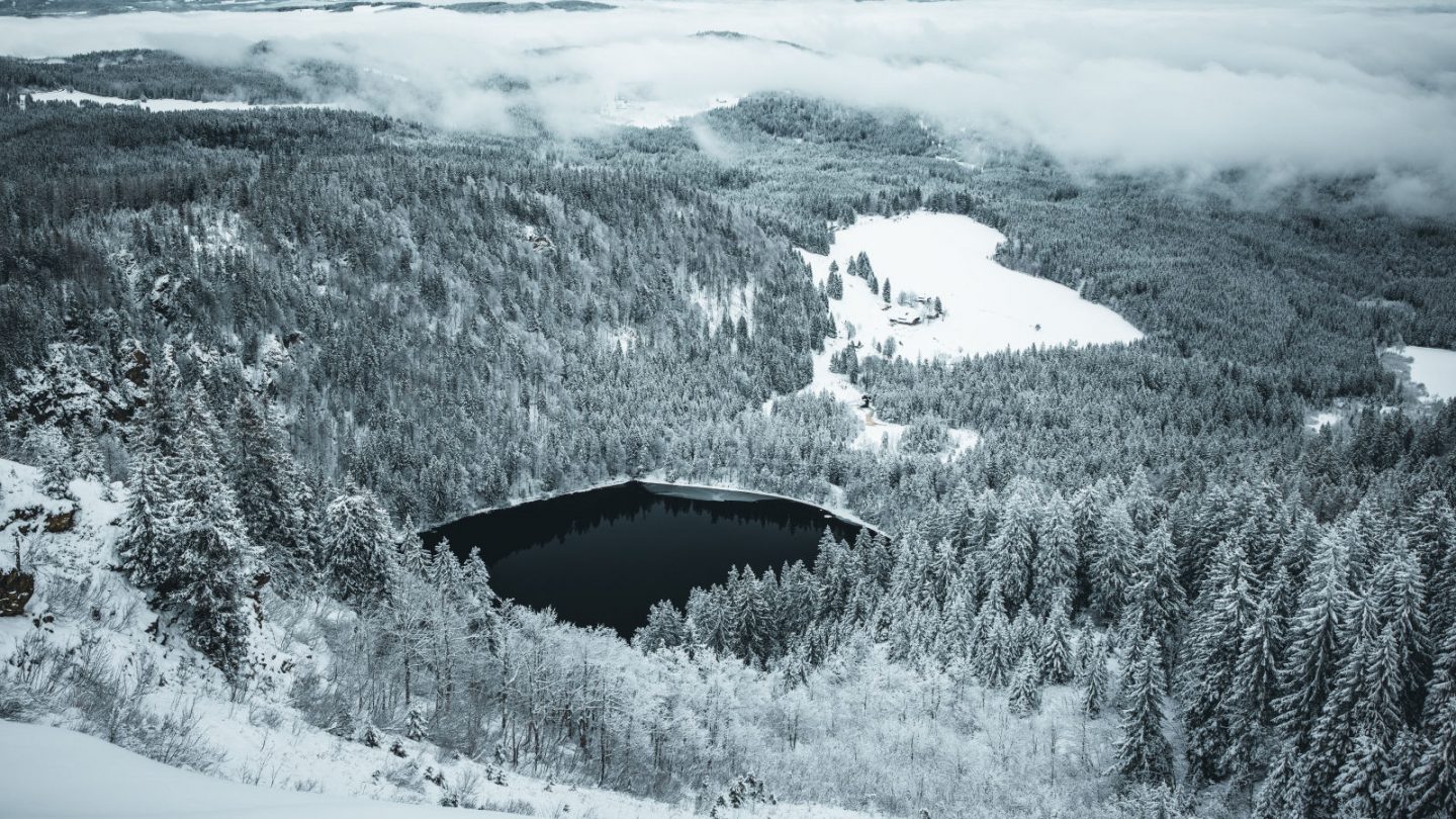 Bis zu 20 cm Neuschnee! Tief ‚Talat‘ fegt über Baden-Württemberg – DWD warnt vor Glätte-Gefahr