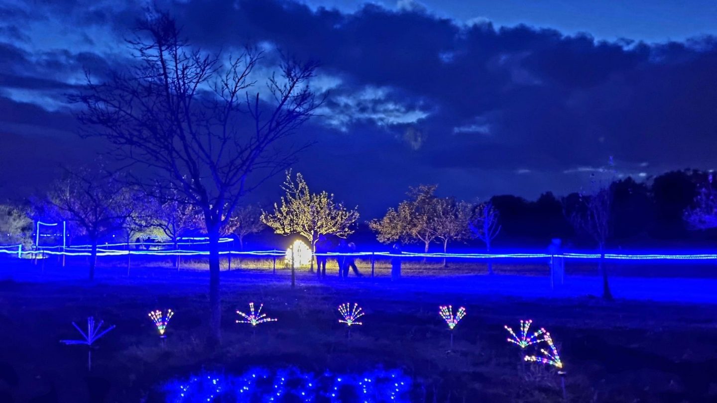 Fürstliches Winterleuchten in Bad Waldsee: Was das Event im Südwesten so besonders macht