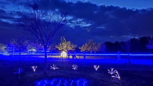 Fürstliches Winterleuchten in Bad Waldsee: Was das Event im Südwesten so besonders macht