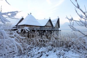 Winterführung in den Pfahlbauten Unteruhldingen: Geschichte erleben am Bodensee