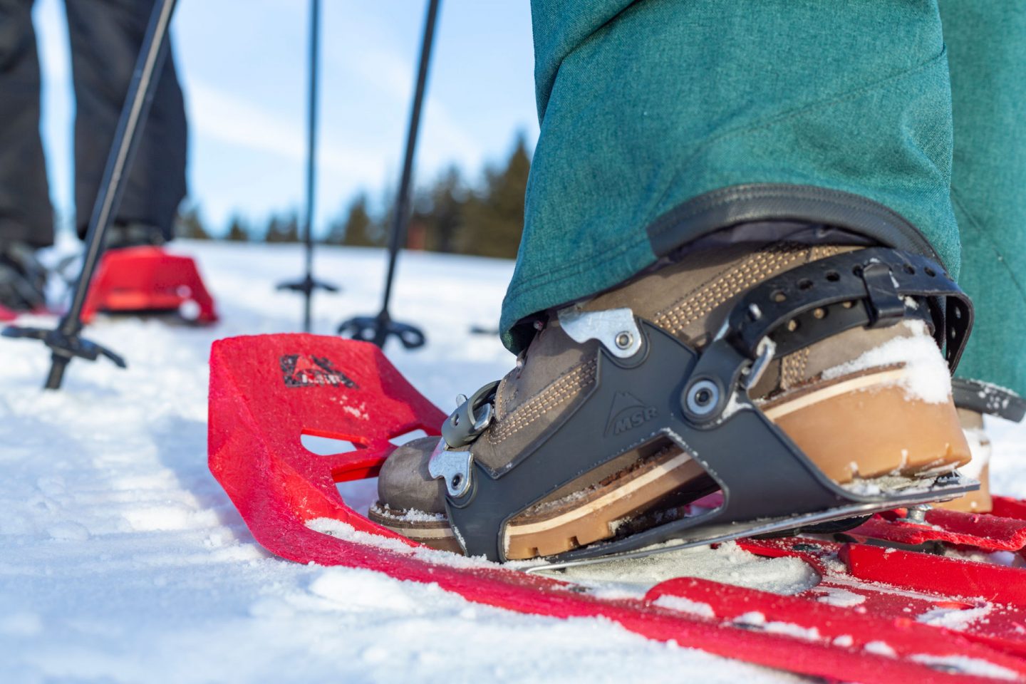 Wandertipp im Winter: Feldbergs Seebucktrail bietet Traum-Bedingungen für Schneeschuhfans Schneeschuhwanderung 1