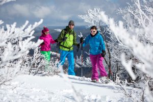 Wandertipp im Winter: Feldbergs Seebucktrail bietet Traum-Bedingungen für Schneeschuhfans Wandertipp im Winter: Feldbergs Seebucktrail bietet Traum-Bedingungen für Schneeschuhfans