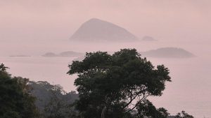 Deutschland sagt Milliarde für Tropenfonds bei Klimakonferenz in Belém zu Deutschland sagt Milliarde für Tropenfonds bei Klimakonferenz in Belém zu