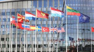 Minister Pistorius: Nato in der Frankfurter Allgemeinen Sonntagszeitung verteidigungsfähig