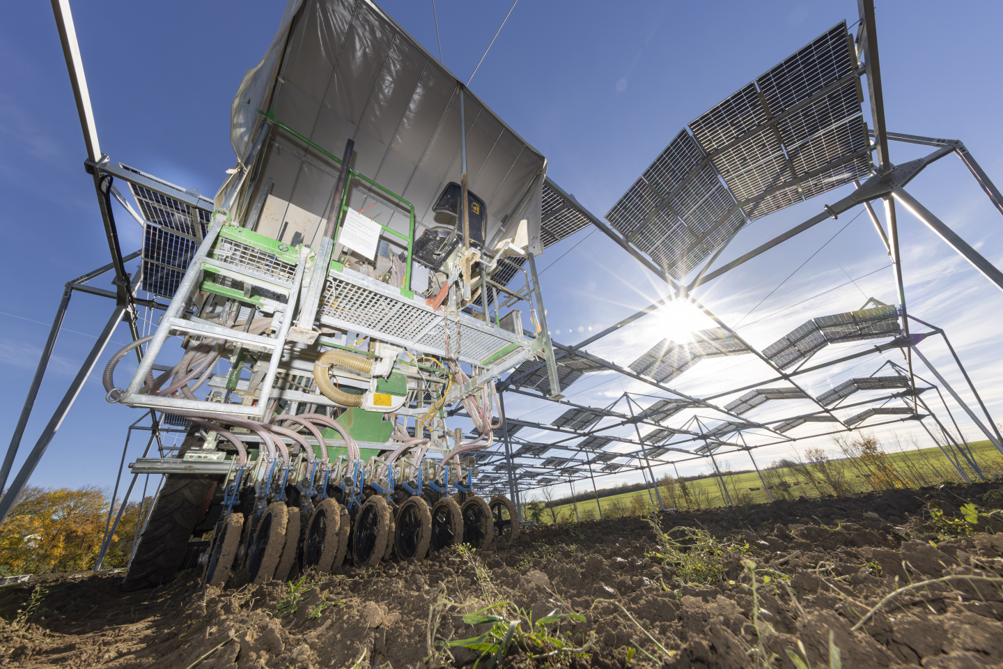 Sonne, Strom und Saat: Wie die neue Agri-Photovoltaik-Forschungsanlage in Baden-Württemberg die Landwirtschaft revolutionieren soll image 16