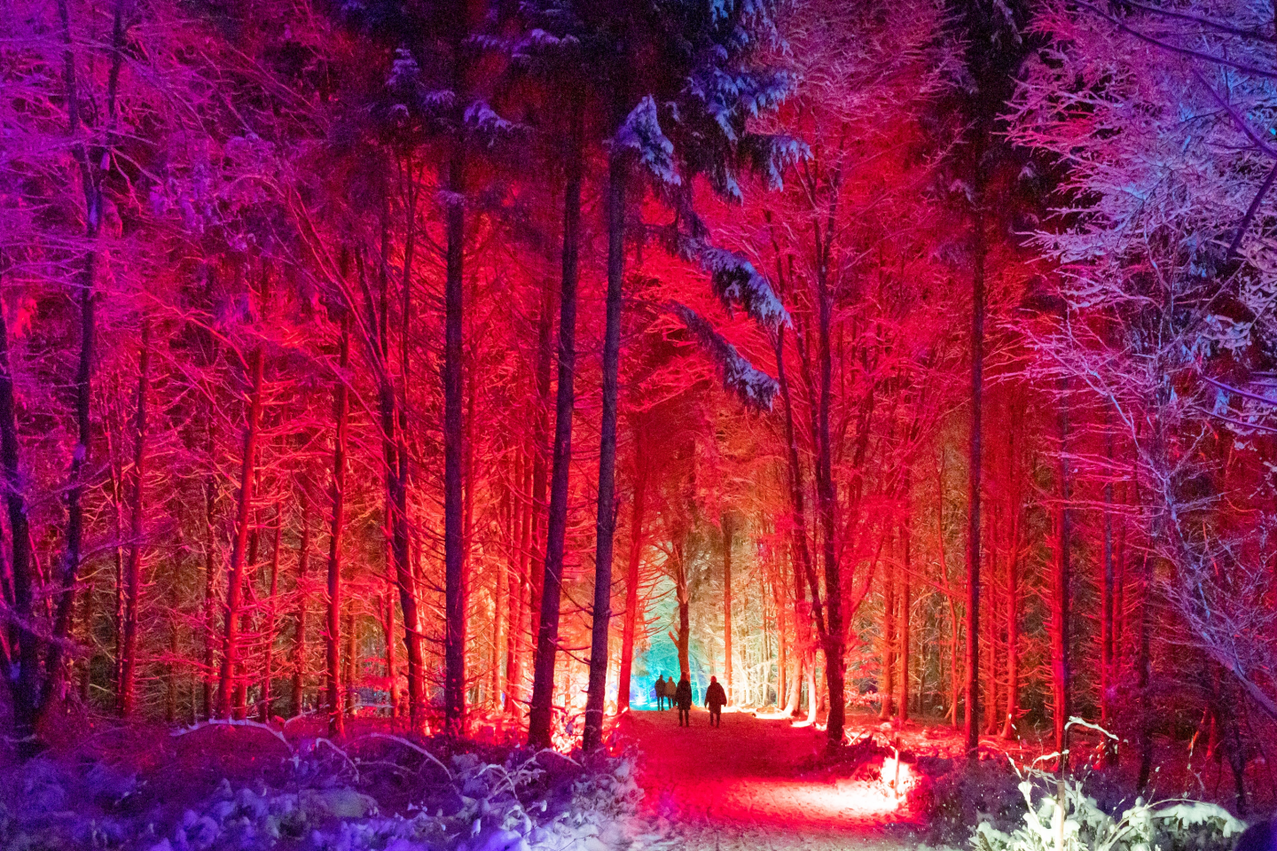 Fürstliches Winterleuchten in Bad Waldsee: Was das Event im Südwesten so besonders macht 2 Fürstliches Winterleuchten in Bad Waldsee: Was das Event im Südwesten so besonders macht image 20