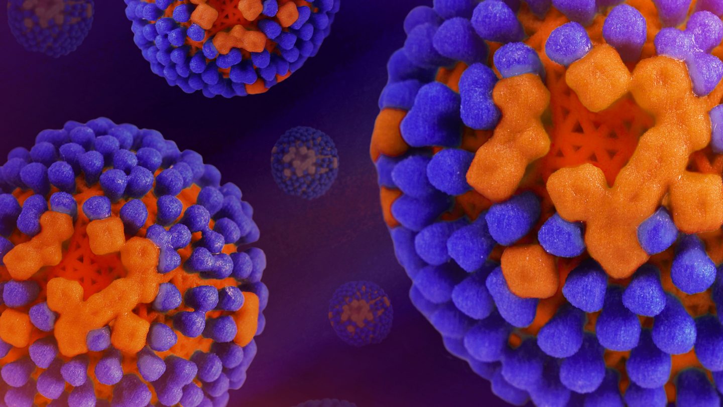 Expertern warnen: Grippewelle kommt früher – Die neue Grippe-Variante A(H3N2) breitet sich schneller aus als erwartet