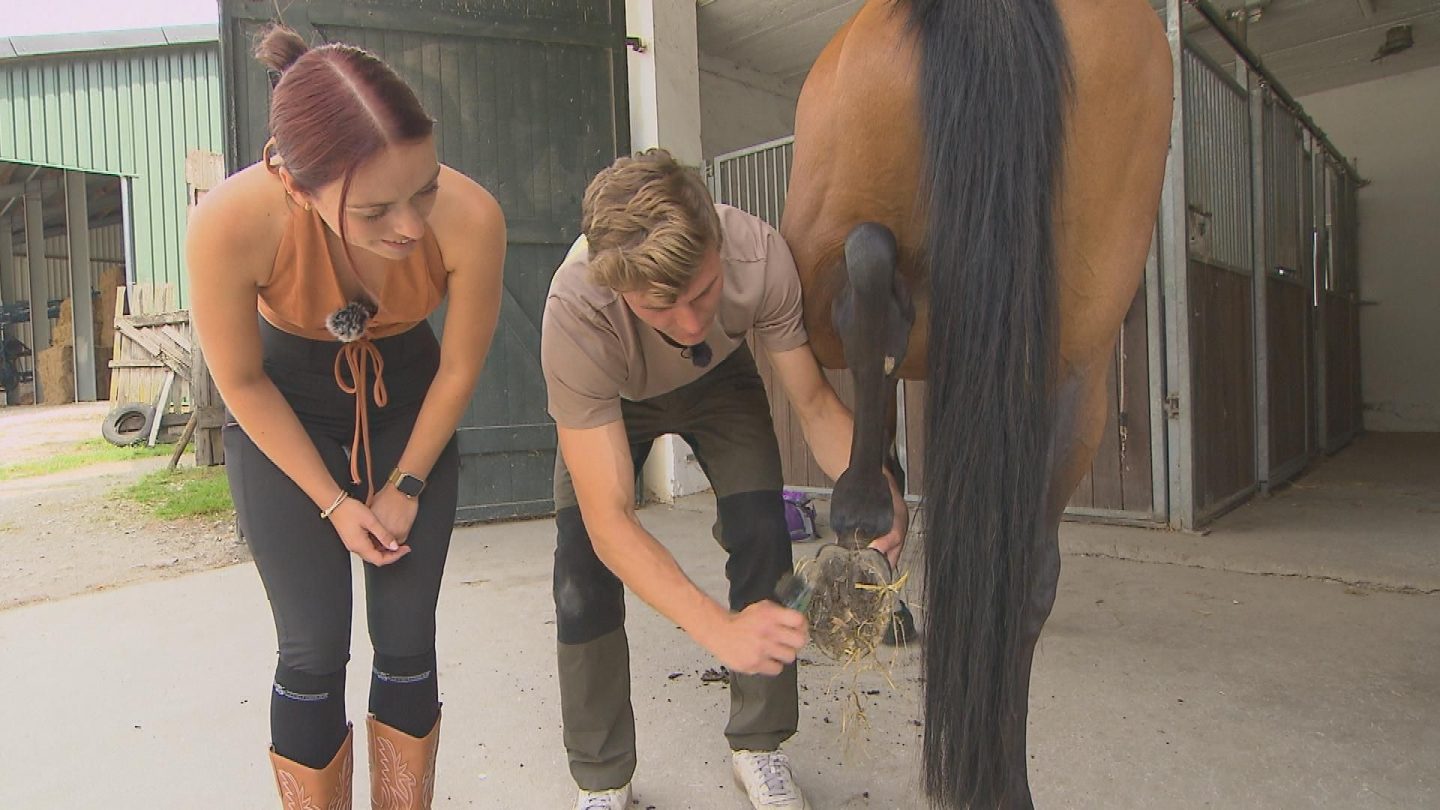 „Bauer sucht Frau“: Zwischen Reitstunde, großen Gefühlen und einem Zeichen für die Ewigkeit 2 „Bauer sucht Frau“: Zwischen Reitstunde, großen Gefühlen und einem Zeichen für die Ewigkeit 56AC4 3