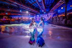 Winterzauber im Europa-Park: Diese Events erwarten Besucher im Januar 2026 Winterzauber im Europa-Park: Diese Events erwarten Besucher im Januar 2026