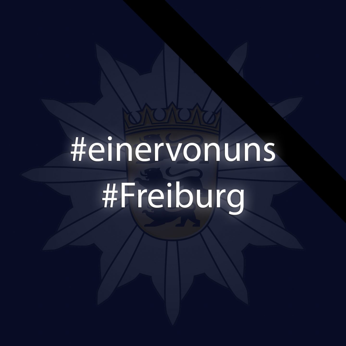 Tragödie bei Titisee-Neustadt – Polizist (37) stirbt bei schwerem Unfall im Dienst SharePic