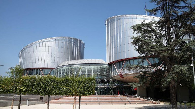 Hubig: Politische Einflussnahme auf EGMR in Straßburg bedenklich