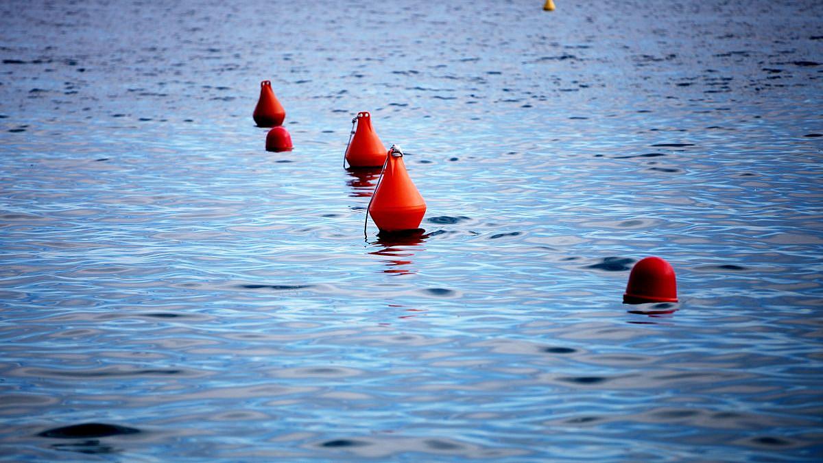 Monopolkommission warnt vor struktureller Abhängigkeit bei Unterseekabeln