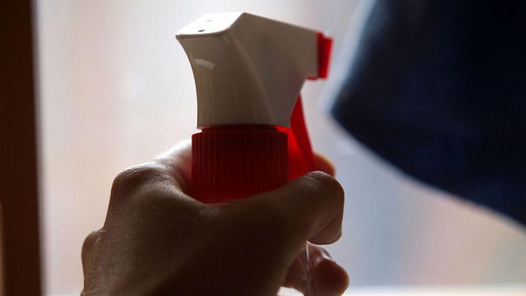 Haushaltshilfen: Millionen arbeiten schwarz