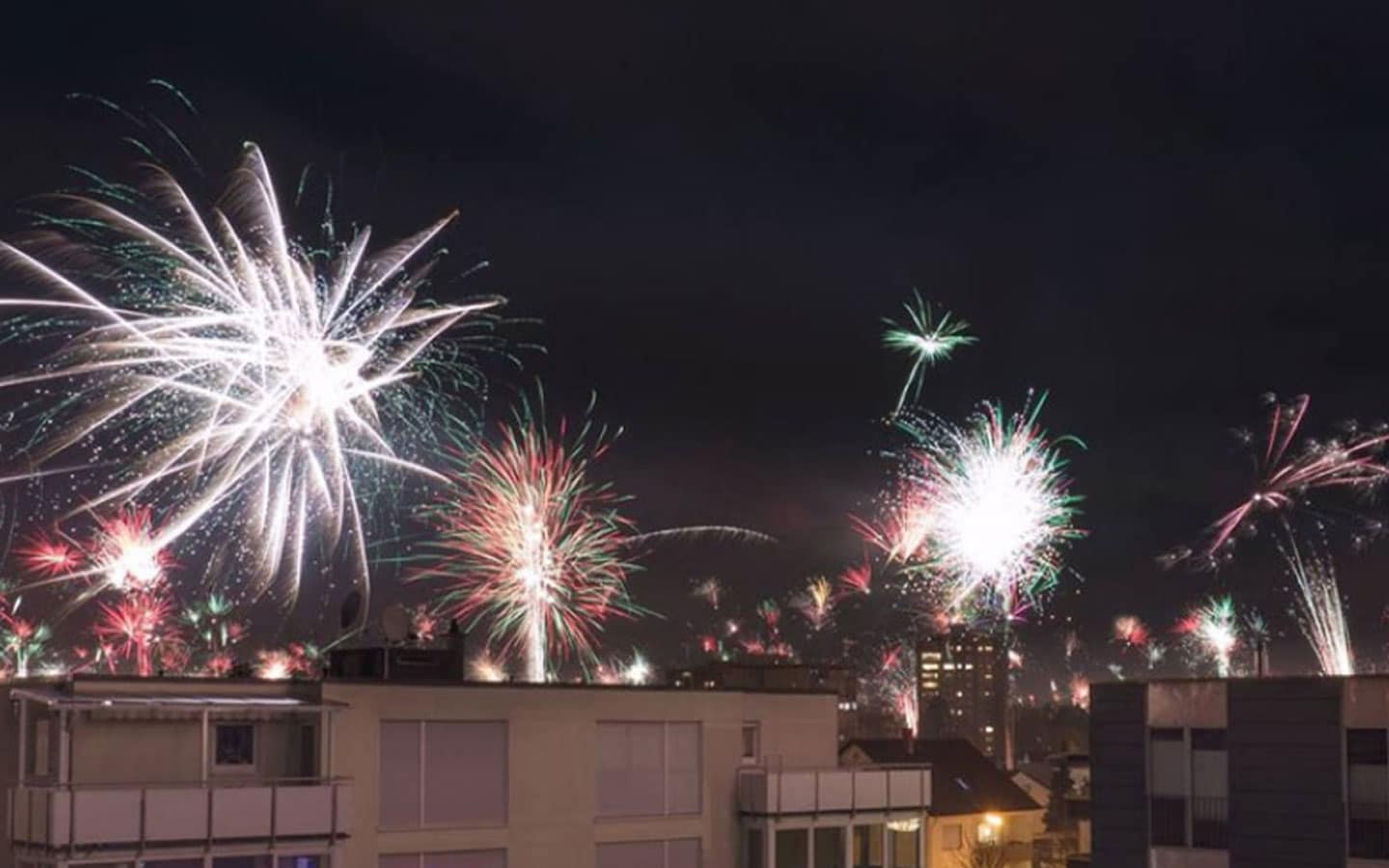 Tiere, Kliniken, Innenstädte: Warum Ministerien in Baden-Württemberg weniger Böller fordern