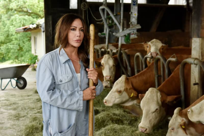 Herzkino heute: Mobbing, Schuld und leise Hoffnungen – warum „Frühling – Wenn alle schweigen“ besonders berührt