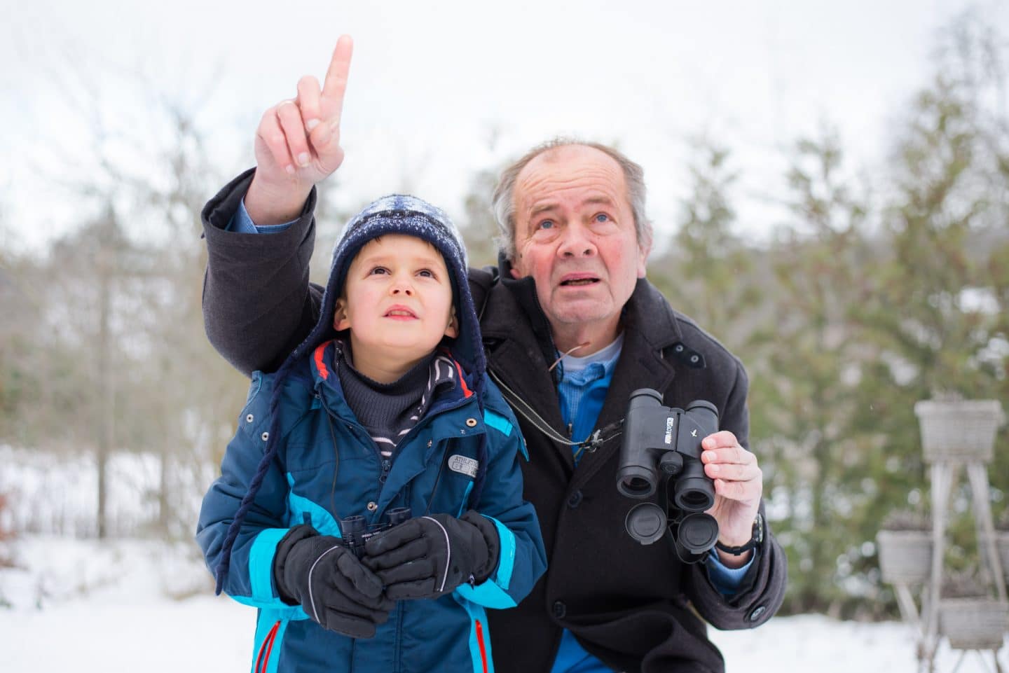 Vögel zählen in Baden-Württemberg: NABU bittet um Hilfe am Futterhaus