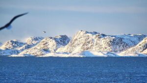 Nach Trump-Grönland-Äußerungen: Dobrindt plädiert für US-Partnerschaft