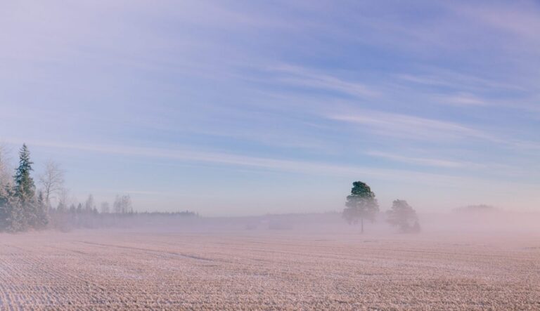 Wetter in Baden-Württemberg: Sonne oben, Frost unten – Glättegefahr bleibt