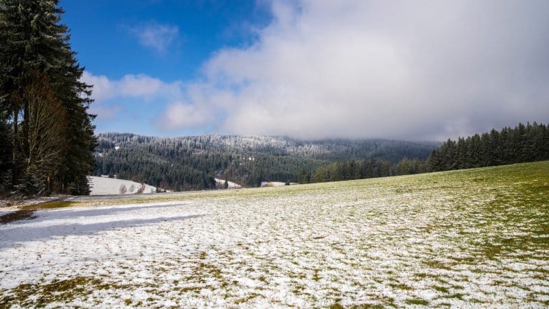 Wetter in Baden-Württemberg: Mini-Frühling rollt an – Sturm, Nebel, Glätte drohen
