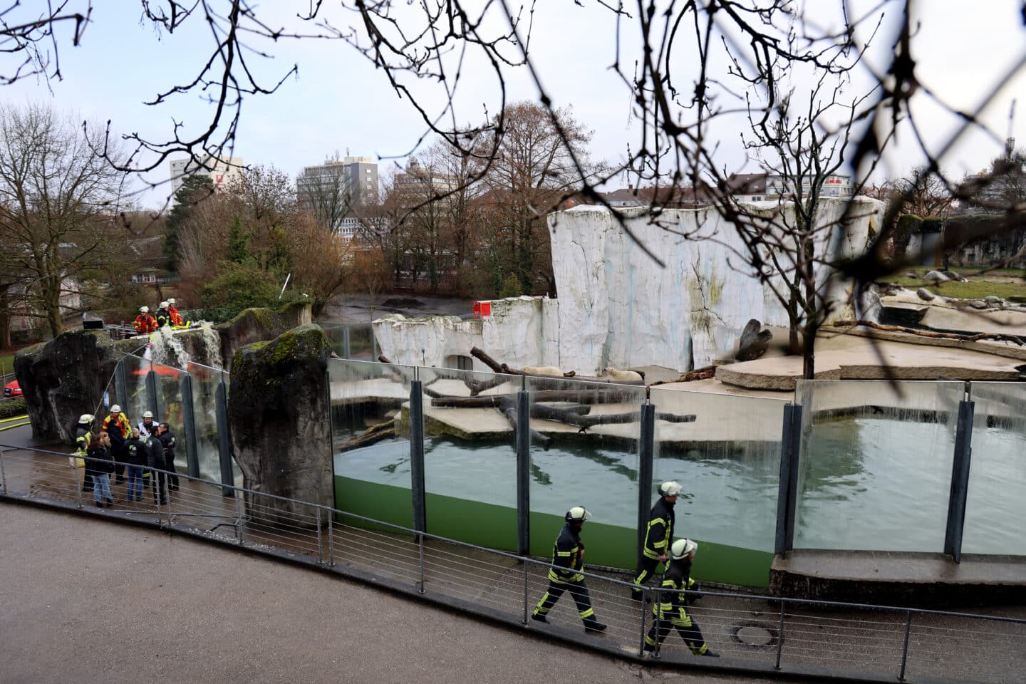 Drama im Karlsruher Eisbären-Becken: Feuerwehr rettet Nuka und MiKa!