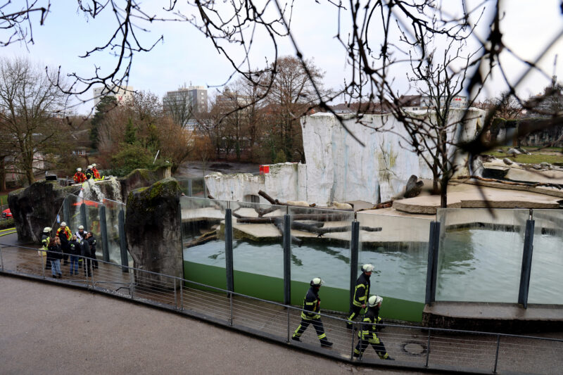 Drama im Karlsruher Eisbären-Becken: Feuerwehr rettet Nuka und MiKa!