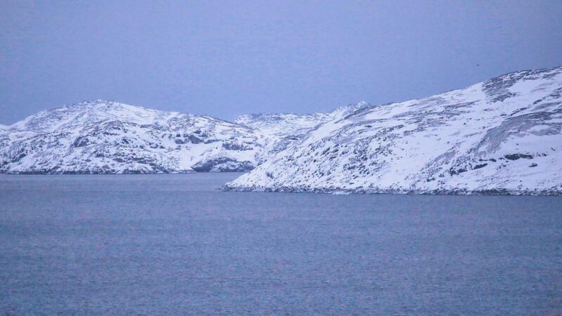 Pistorius klärt Nato-Einsatz auf: „Arctic Sentry“ keine Grönland-Mission