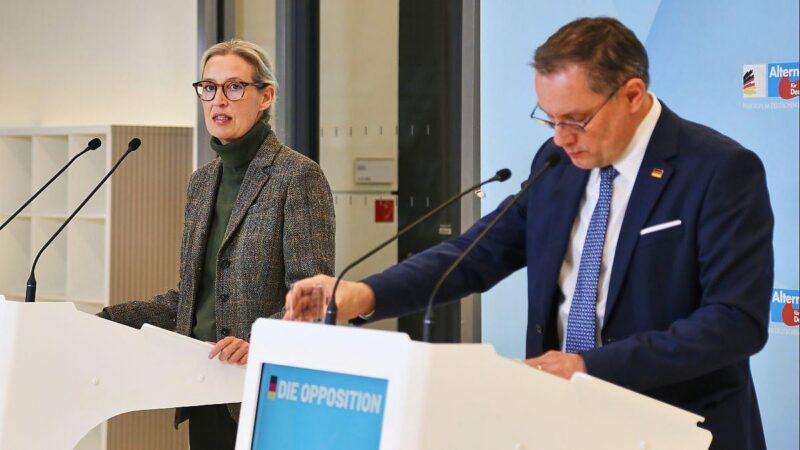 Politbarometer: AfD gibt nach – Grüne legen zu