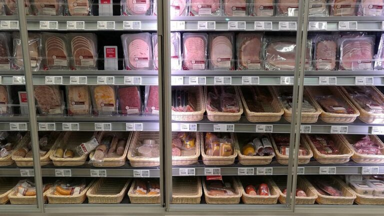 Fleischersatz-Produktion stagniert – Erstmals seit Jahren leichter Rückgang