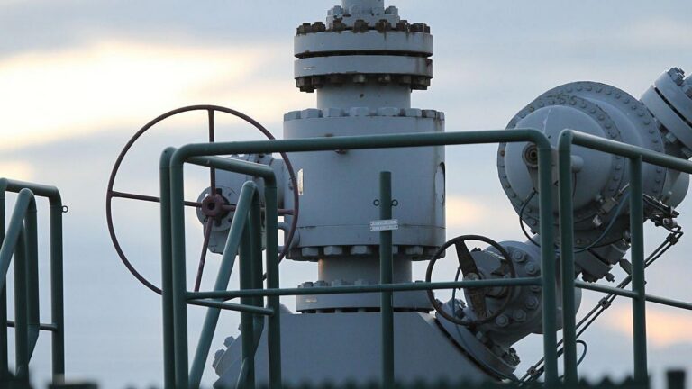 Ministerin plant „Kriseninstrument“ für Gasversorgung