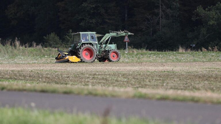 Landwirtschaftspreise im freien Fall
