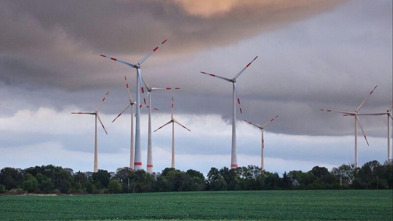 Wirtschaftsministerium plant neue Hürden für Ökostrom