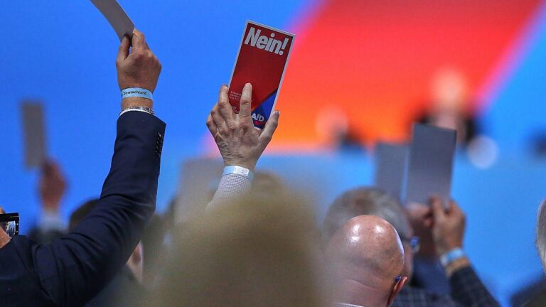 AfD Sachsen-Anhalt:  Basis fordert Sonderparteitag bei Krisenrat