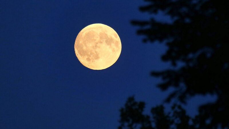 Artemis 2: Mondmission von der Nasa erneut verschoben Artemis 2: Mondmission von der Nasa erneut verschoben