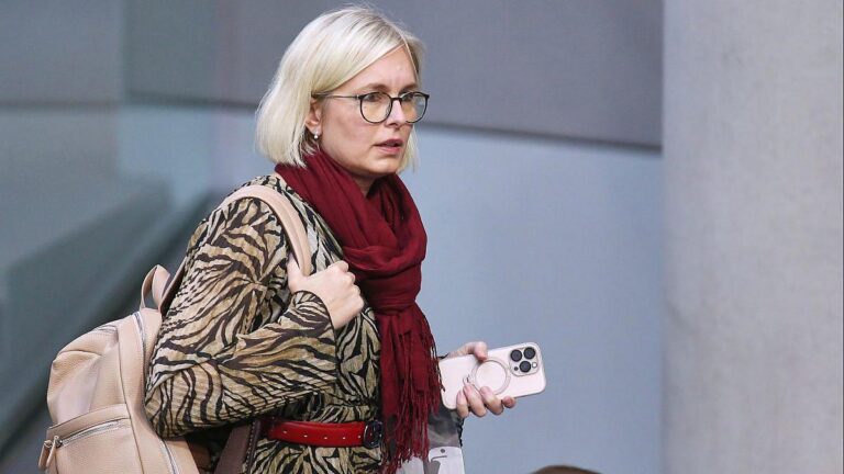 Schenderlein weist Dobrindt-Veto zurück