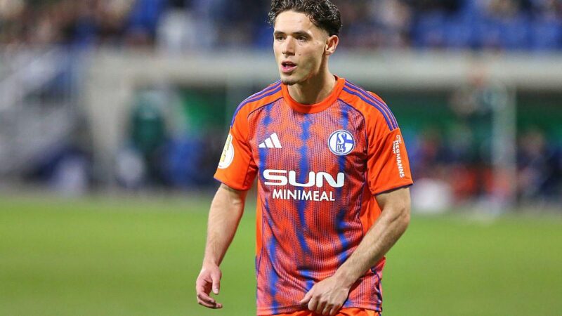 Schalke auf dem Gipfel