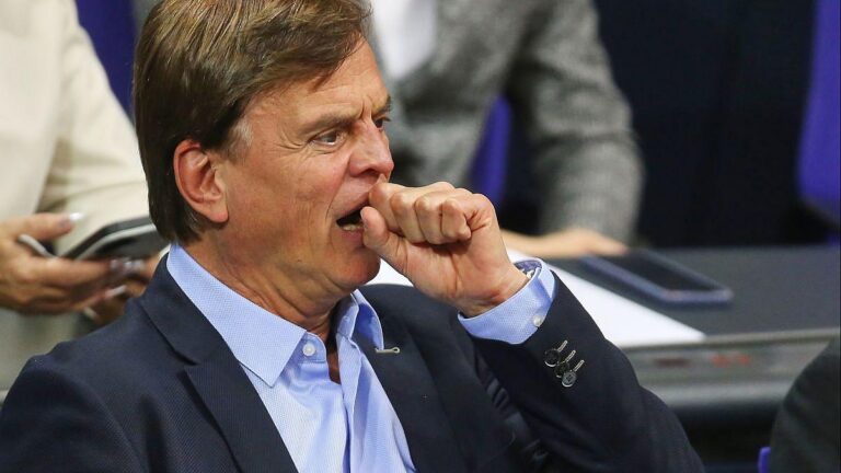 Gerichtsurteil: AfD darf vorerst nicht als rechtsextrem eingestuft werden