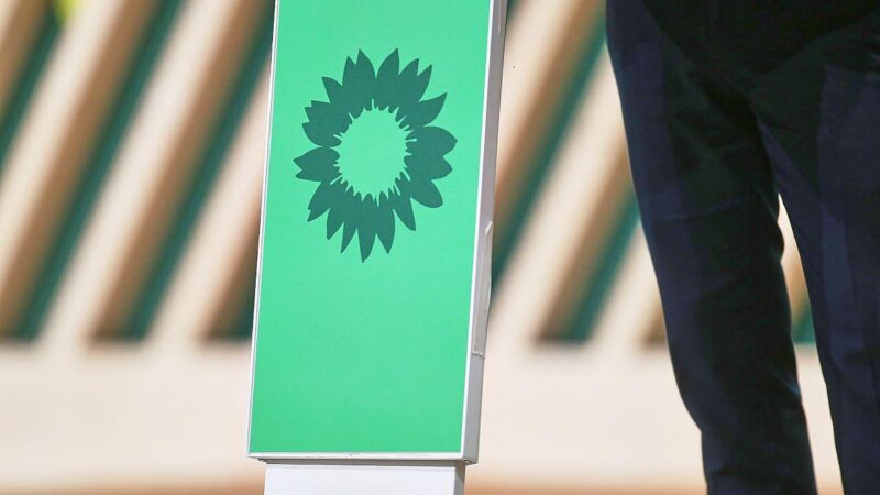 Grünen-Fraktion holt Wirtschaftskapitäne ins Boot Grünen-Fraktion holt Wirtschaftskapitäne ins Boot