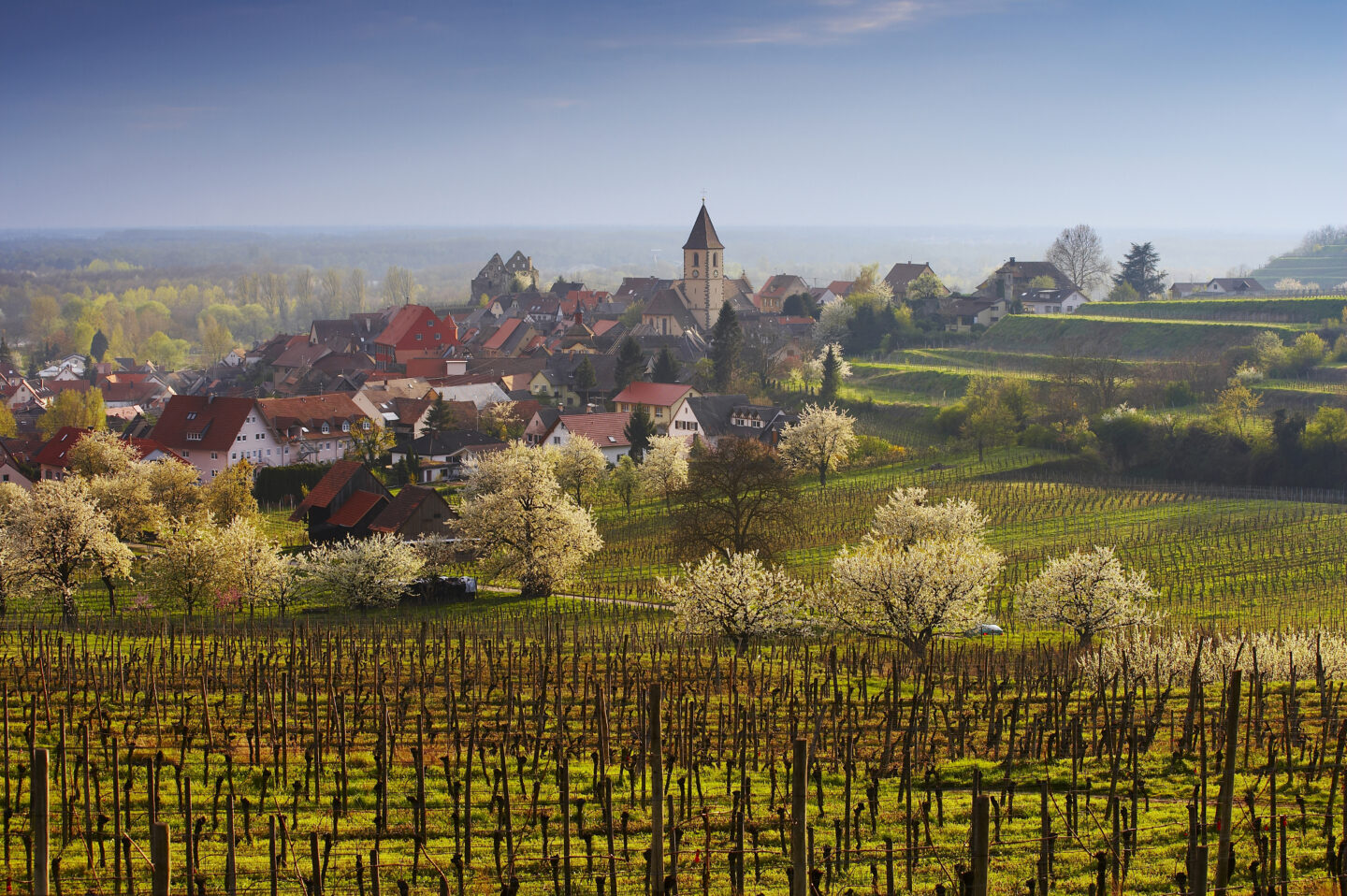 Urlaub im Schwarzwald 2026: Ein Dorf wird zum Hotel