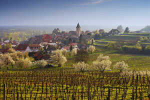 Urlaub im Schwarzwald 2026: Ein Dorf wird zum Hotel