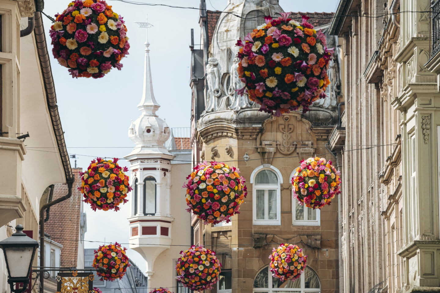 Frühlingstipp am Bodensee: 150 BlumenBälle bringen Konstanz zum Blühen