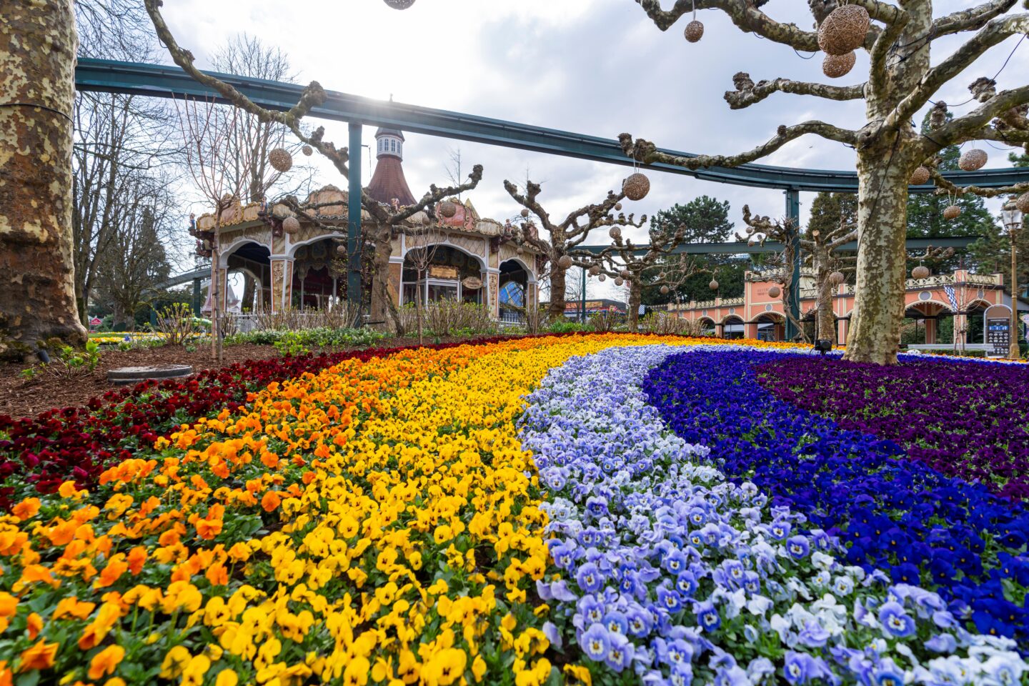 180.000 Blumen: Europa-Park startet farbenfroh in die Saison