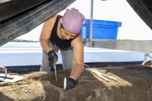 Weniger Spargel, mehr Importe: Deutschlands Lieblingsgemüse in der Krise