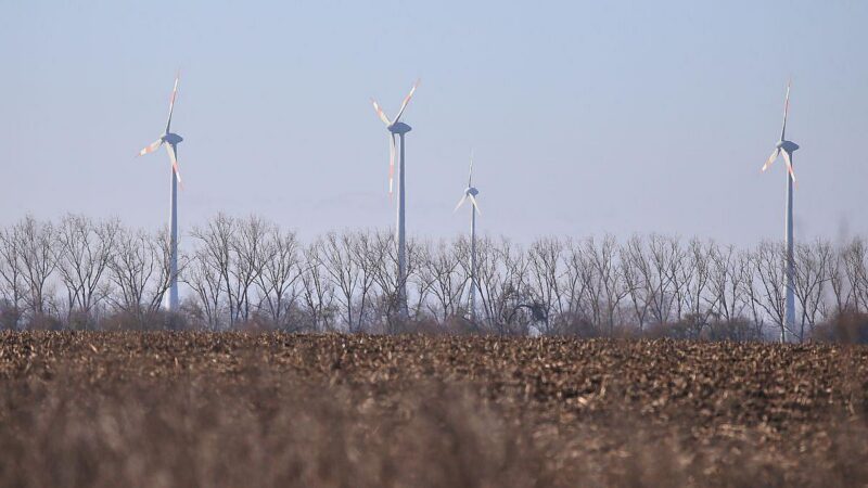 Grüne und Unternehmen greifen Reiches Netzpaket an
