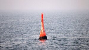 Buckelwal steckt erneut in Ostsee-Bucht fest