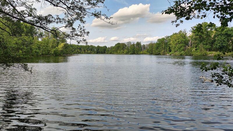 Zahl der Badetoten 2025 gesunken – Besorgnis bei jungen Männern