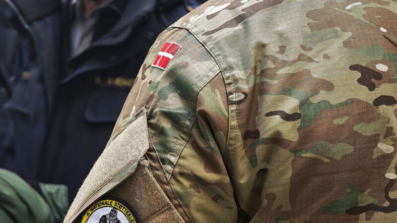 Grüne und FDP fordern mehr EU-Vorsorge für Verteidigungsfall