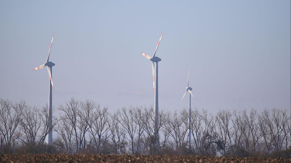 SPD fordert Stopp von Reiches Energieplänen: „Killer für Erneuerbaren-Ausbau“