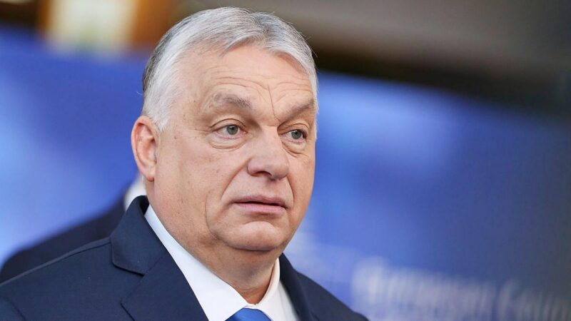 Ex-Minister nennt Orban „zahllosen Agenten Putins“