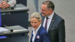 AfD erreicht neuen Rekordwert in Umfrage