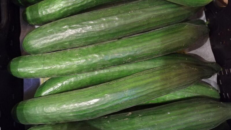 DGB fordert Null-Mehrwertsteuer auf Lebensmittel und Energie